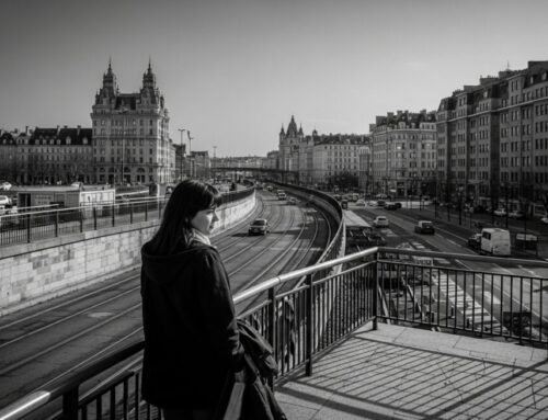 Navigating Your E-Degree University Options for Career Growth